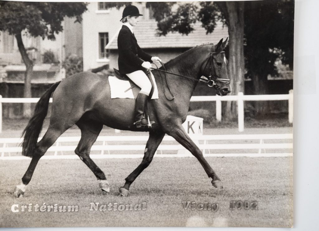 PHOTO Argentique France Equitation cheval saut d'obstacles 18X24cm 1970