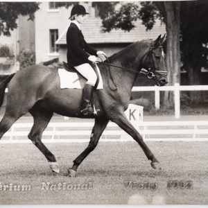 PHOTO Argentique	France	Equitation cheval saut d'obstacles	18X24cm	1970