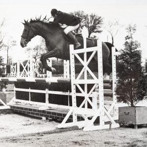 PHOTO Argentique	France	Equitation cheval saut d'obstacles	18X24cm	1970