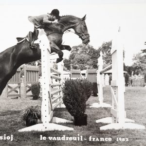 PHOTO Argentique	France	Equitation cheval saut d'obstacles	18X24cm	1970