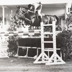 PHOTO Argentique	France	Equitation cheval saut d'obstacles	18X24cm	1970
