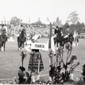 PHOTO Argentique	France	Equitation cheval saut d'obstacles	18X24cm	1970