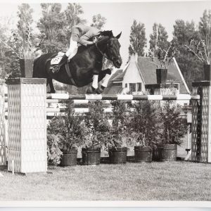 PHOTO Argentique	France	Equitation cheval saut d'obstacles	18X24cm	1970