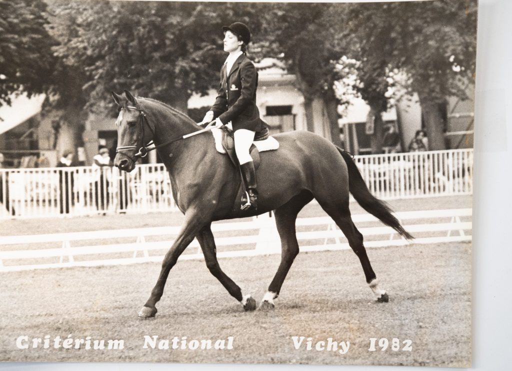 PHOTO Argentique	France	Equitation cheval saut d'obstacles	18X24cm	1970