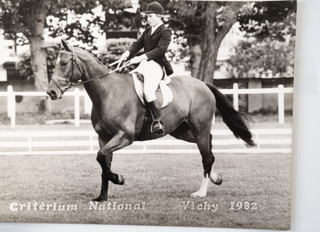 PHOTO Argentique	France	Equitation cheval saut d'obstacles	18X24cm	1970