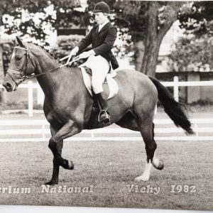 PHOTO Argentique	France	Equitation cheval saut d'obstacles	18X24cm	1970