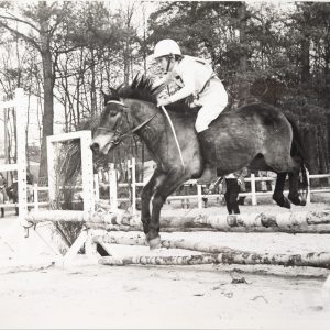 PHOTO Argentique France Equitation cheval saut d'obstacles 18X24cm 1970