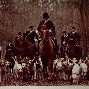 PHOTO Argentique France chasse à courre vénerie cheval 20X30cm 1970