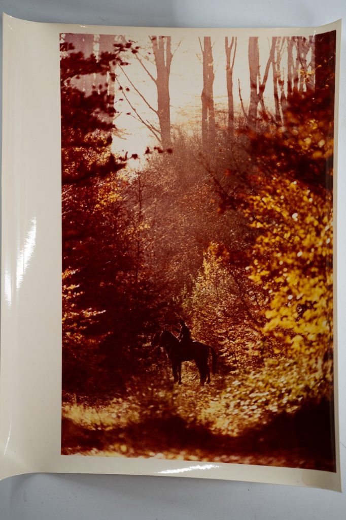 PHOTO Argentique	France	chasse à courre vénerie cheval 20X30cm	1970