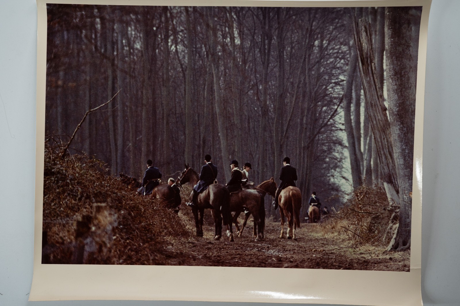 PHOTO Argentique France chasse à courre vénerie cheval 20X30cm 1970