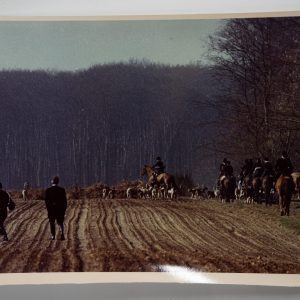 PHOTO Argentique France chasse à courre vénerie cheval 17X23cm 1970