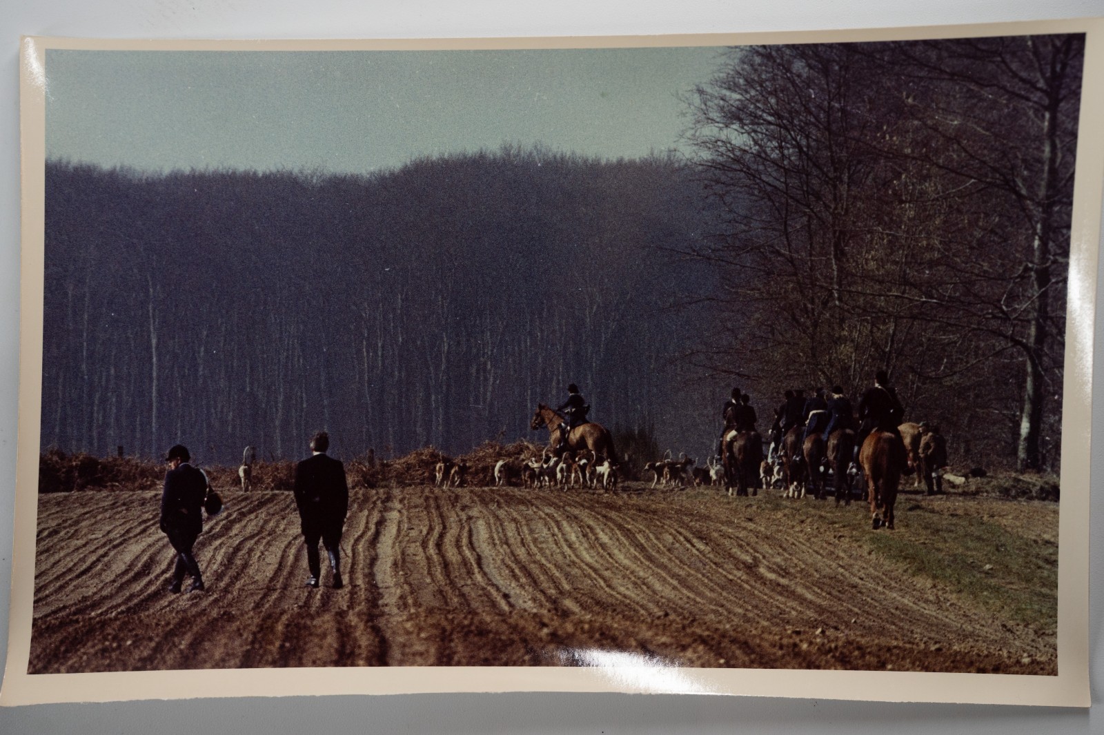 PHOTO Argentique France chasse à courre vénerie cheval 17X23cm 1970