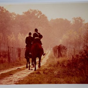 PHOTO Argentique	France	chasse à courre vénerie cheval 24x30cm	1970