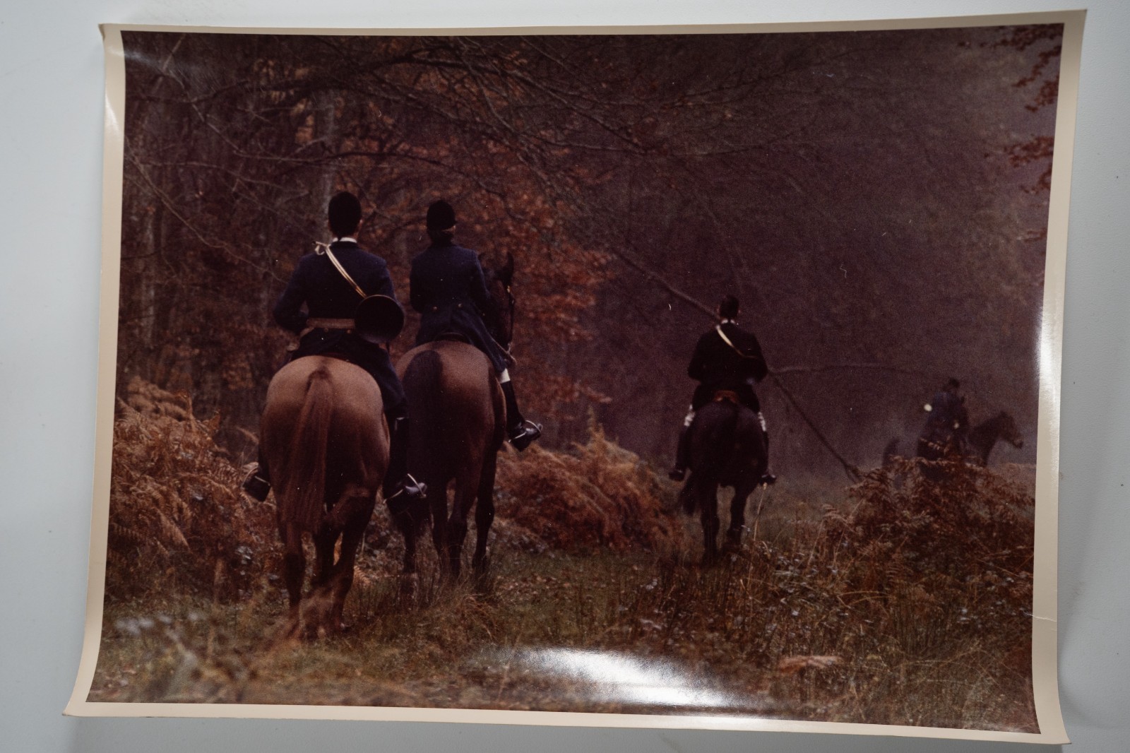 PHOTO Argentique France chasse à courre vénerie cheval 17X23cm 1970