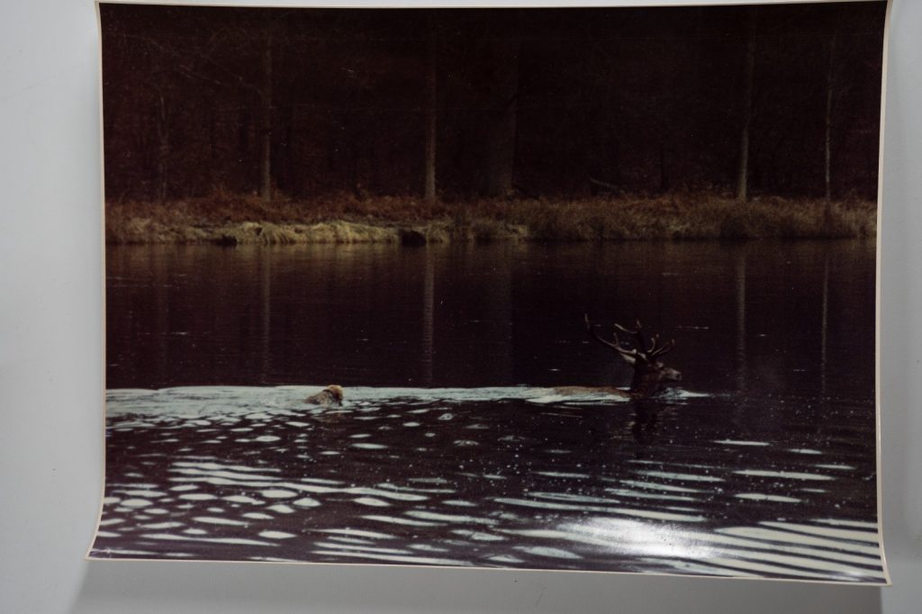 PHOTO Argentique France chasse à courre vénerie cheval 17X23cm 1970