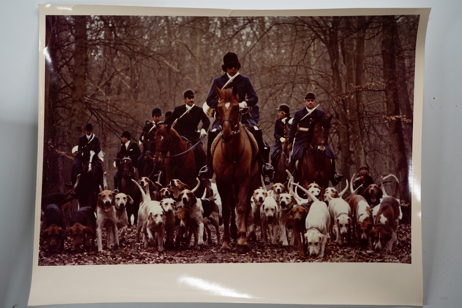 PHOTO Argentique France chasse à courre vénerie cheval 14X22cm 1970