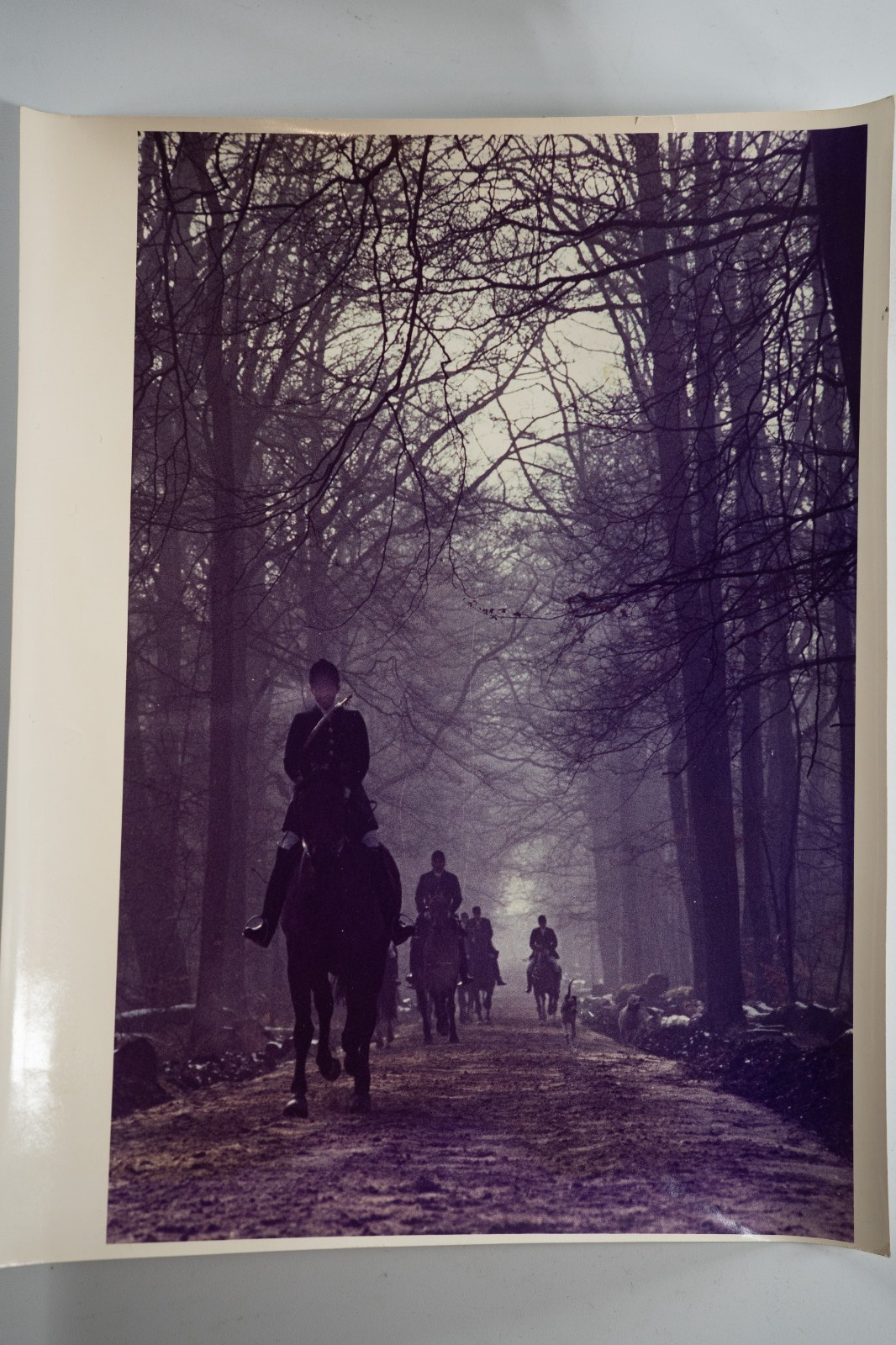 PHOTO Argentique France chasse à courre vénerie cheval 14X22cm 1970