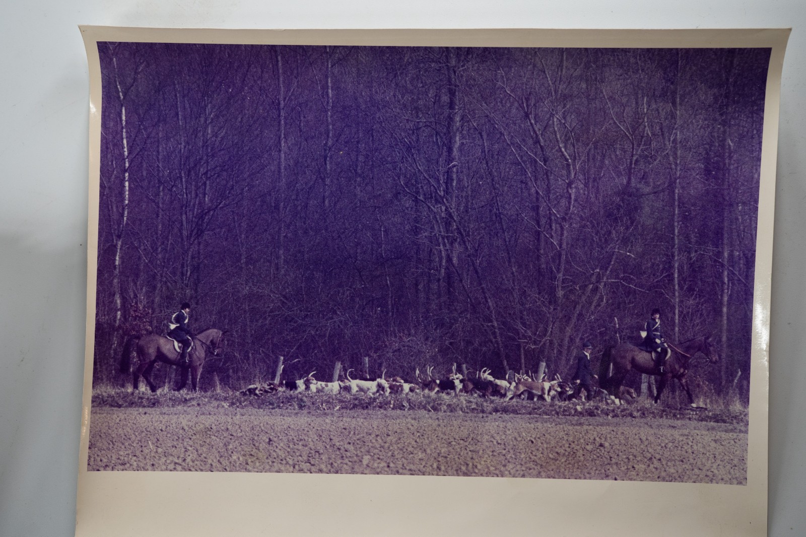 PHOTO Argentique France chasse à courre vénerie cheval 14X22cm 1970