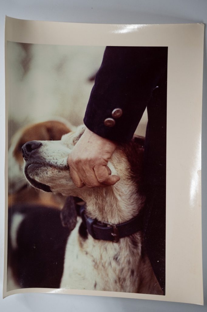 PHOTO Argentique	France	chasse à courre vénerie cheval	14X22cm	1970