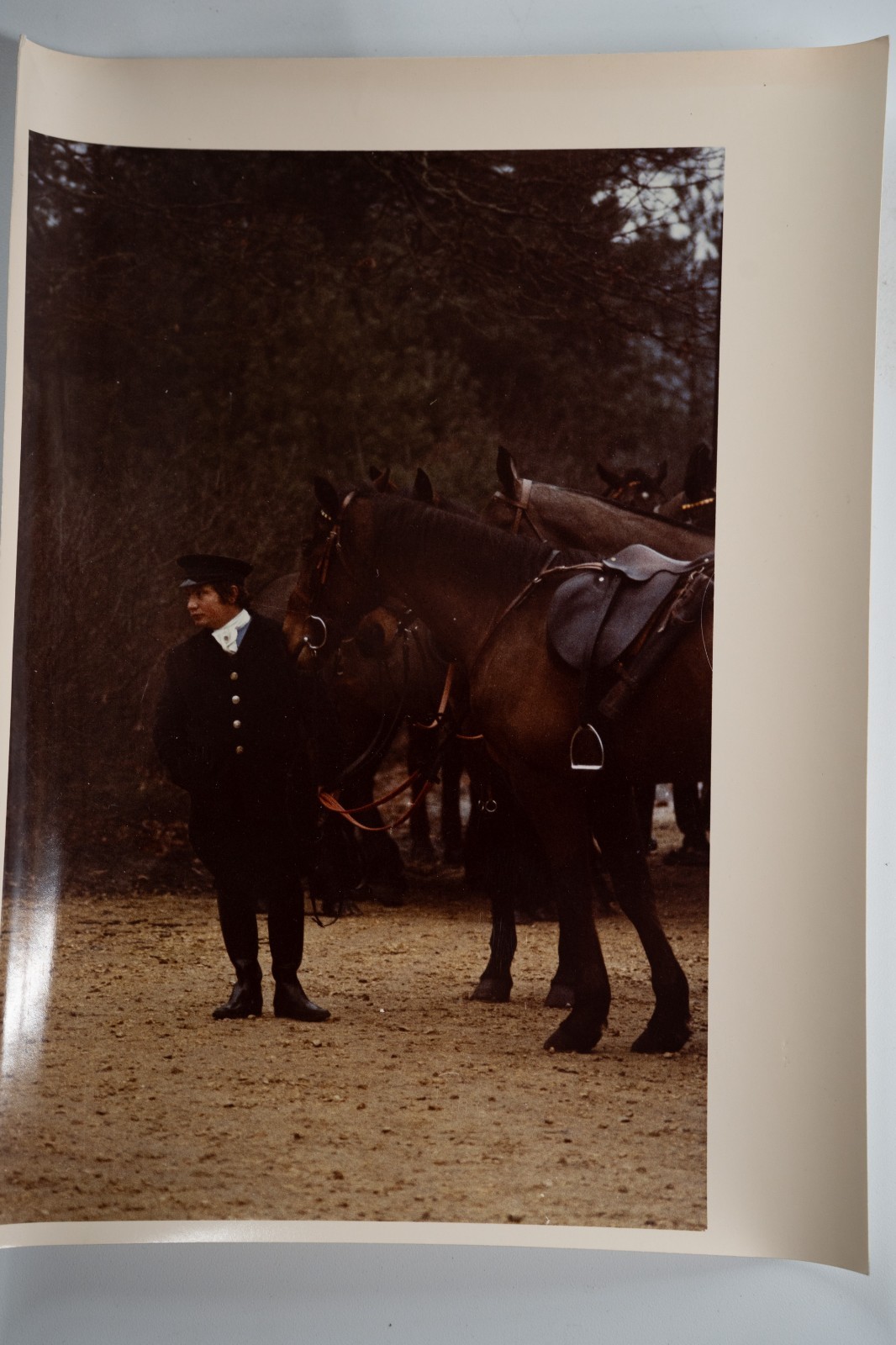 PHOTO Argentique France chasse à courre vénerie cheval 14X22cm 1970