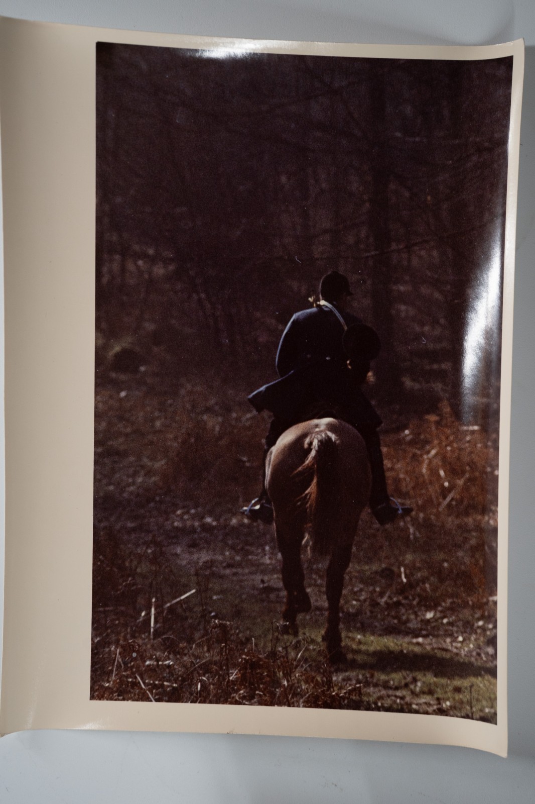PHOTO Argentique France chasse à courre vénerie cheval 14X22cm 1970