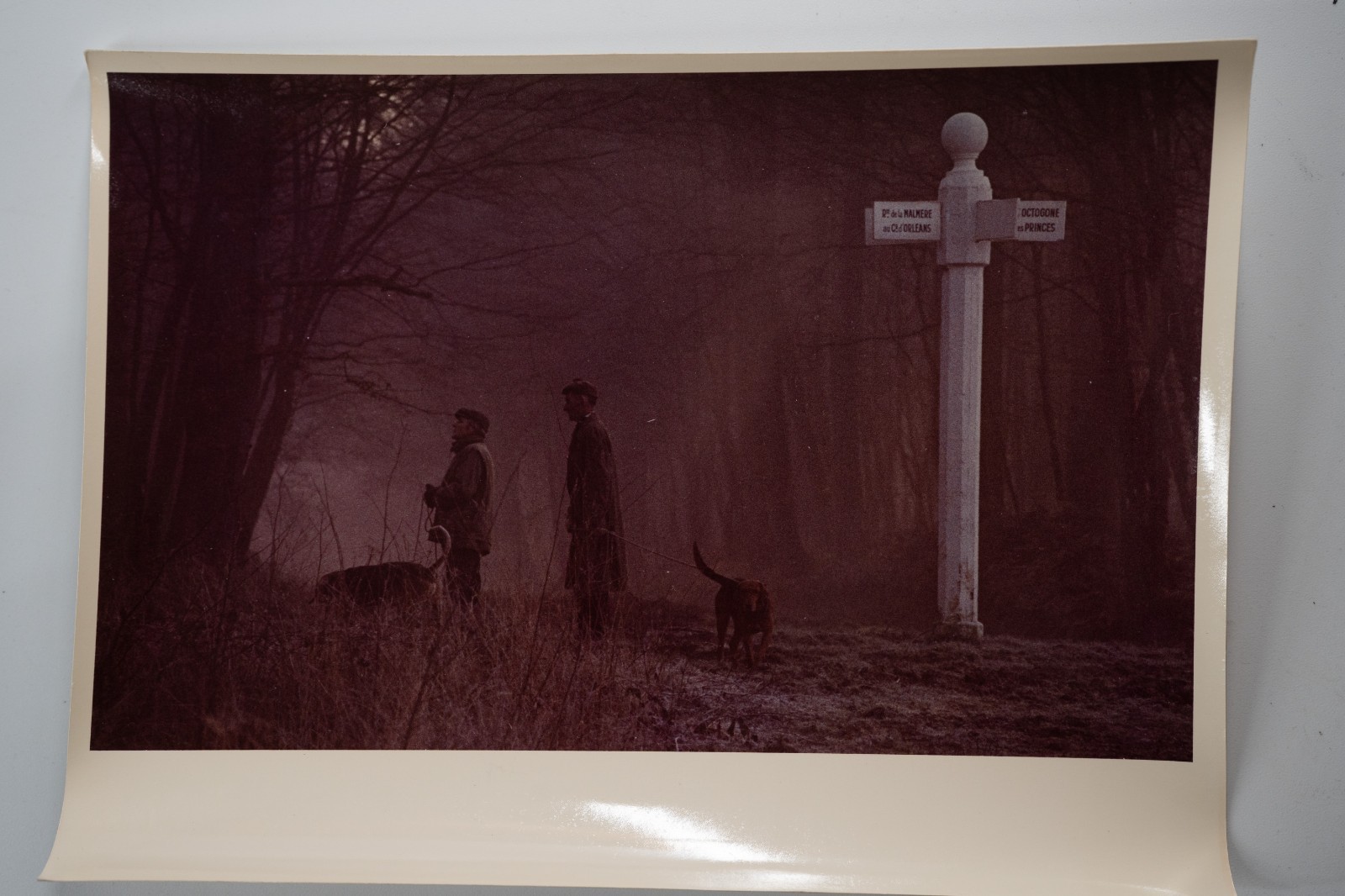 PHOTO Argentique France chasse à courre vénerie cheval 14X22cm 1970