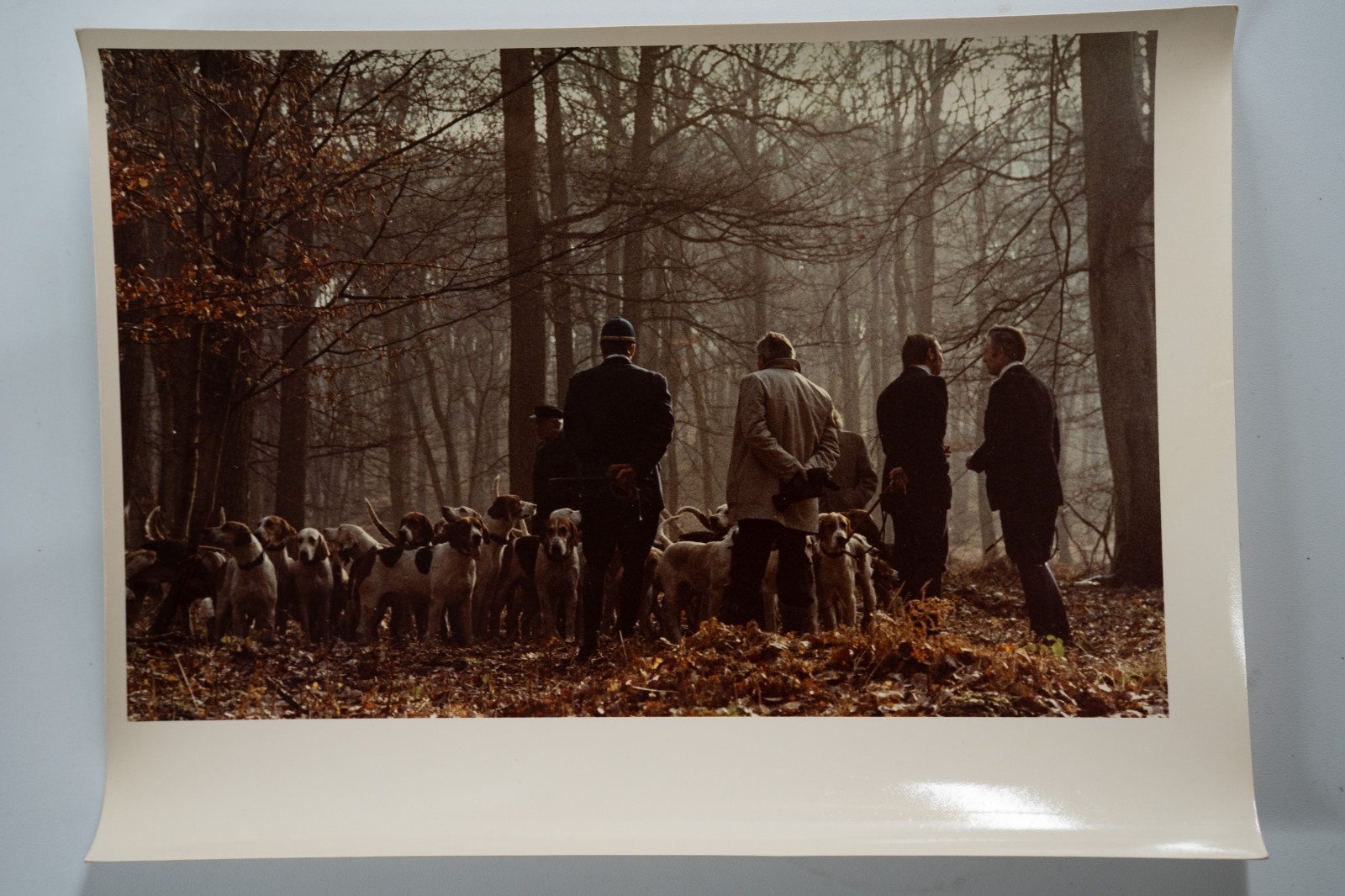 PHOTO Argentique France chasse à courre vénerie cheval 14X22cm 1970