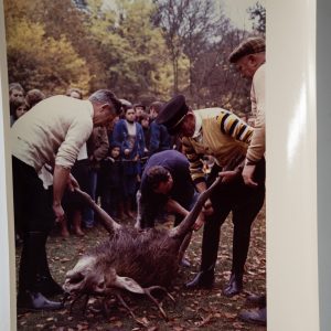 PHOTO Argentique France chasse à courre vénerie cheval 14X22cm 1970