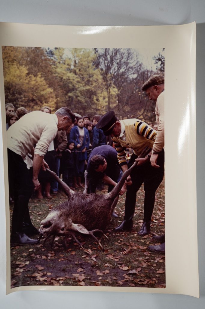 PHOTO Argentique France chasse à courre vénerie cheval 14X22cm 1970