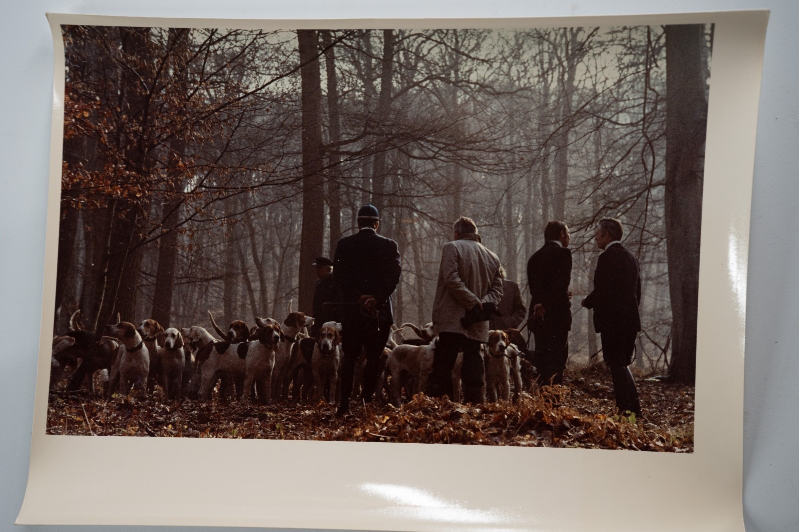 PHOTO Argentique France chasse à courre vénerie cheval 14X22cm 1970