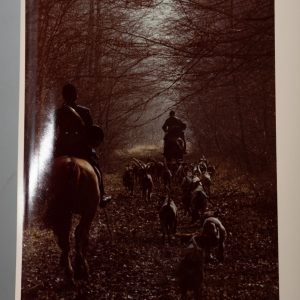 PHOTO Argentique France chasse à courre vénerie cheval 14X22cm 1970