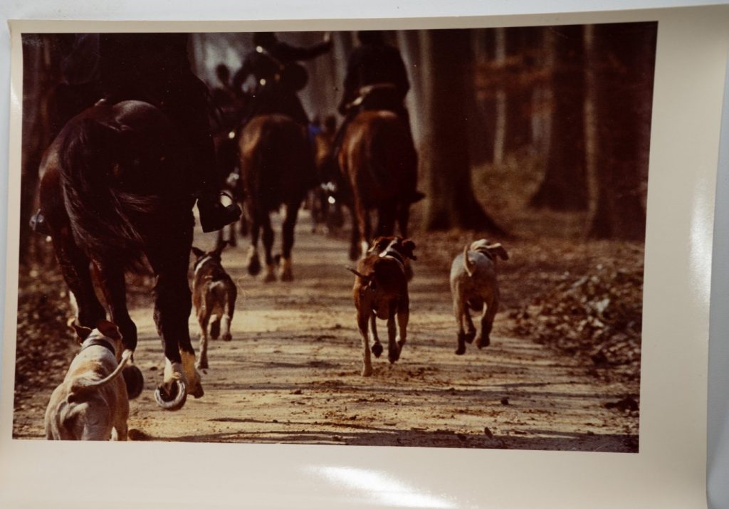 PHOTO Argentique France chasse à courre vénerie cheval 14X22cm 1970