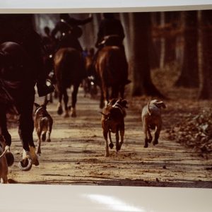 PHOTO Argentique France chasse à courre vénerie cheval 14X22cm 1970