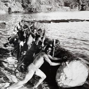 PHOTO Argentique, RC Afrique COTE DIVOIRE BOIS bucheron 18X24cm 1960