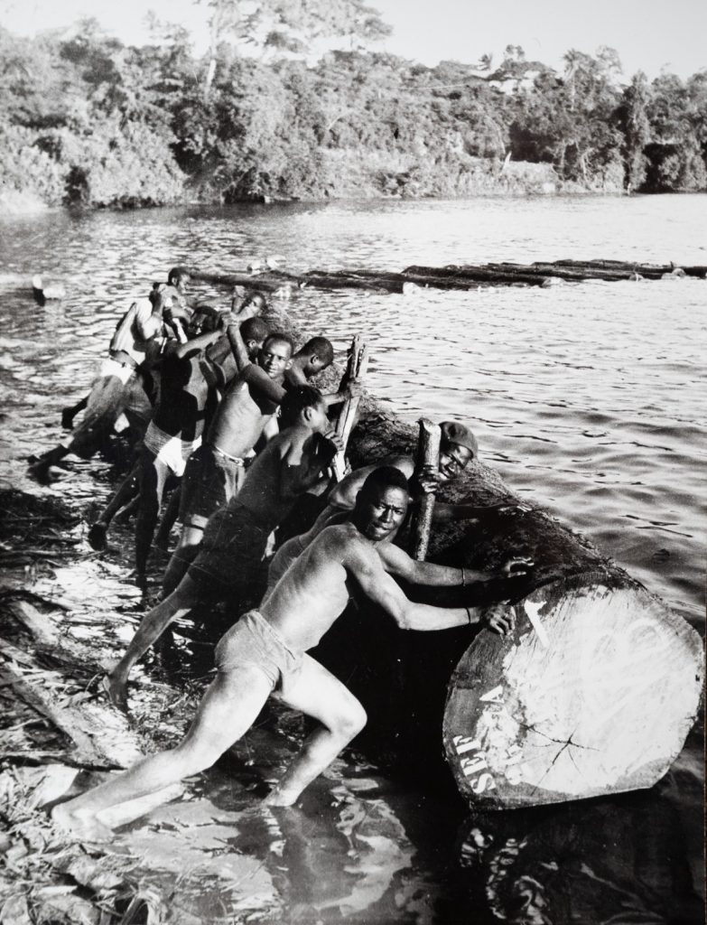 PHOTO Argentique, RC Afrique COTE DIVOIRE BOIS bucheron 18X24cm 1960