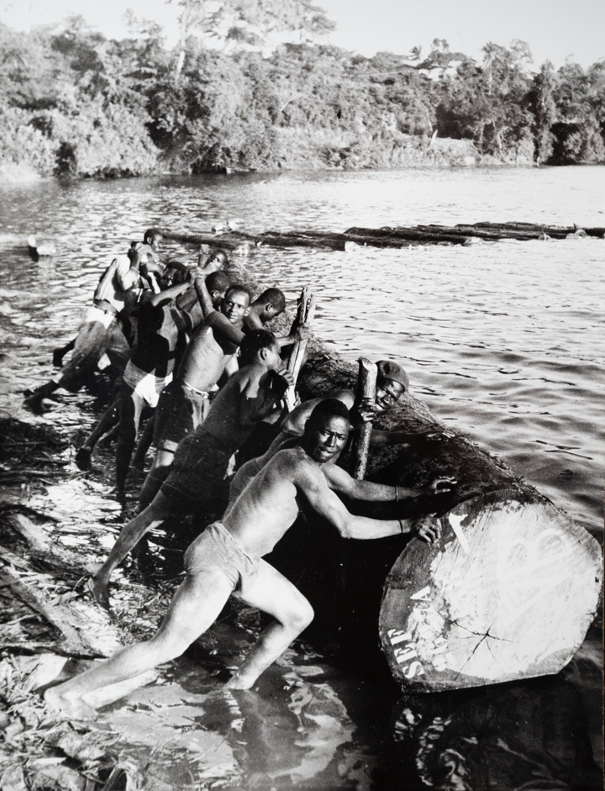 PHOTO Argentique, RC Afrique COTE DIVOIRE BOIS bucheron 18X24cm 1960