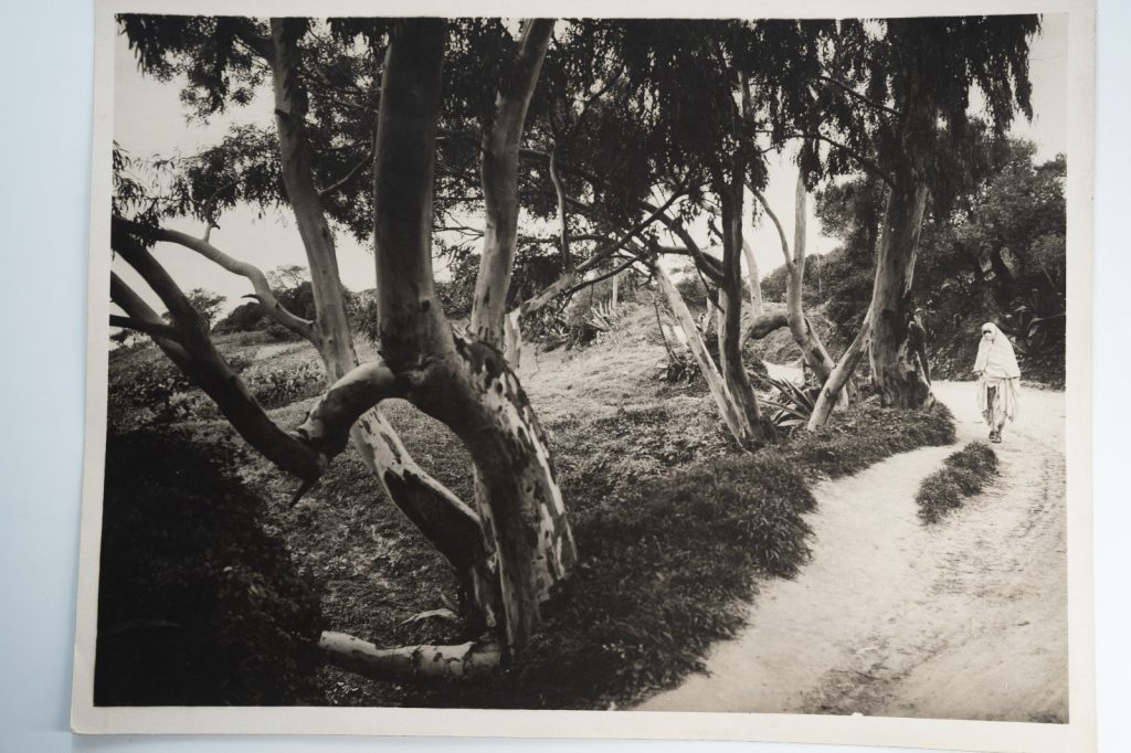 PHOTO Argentique Algérie Femme et paysage 30X40CM 1930 tampon Marcel Meys