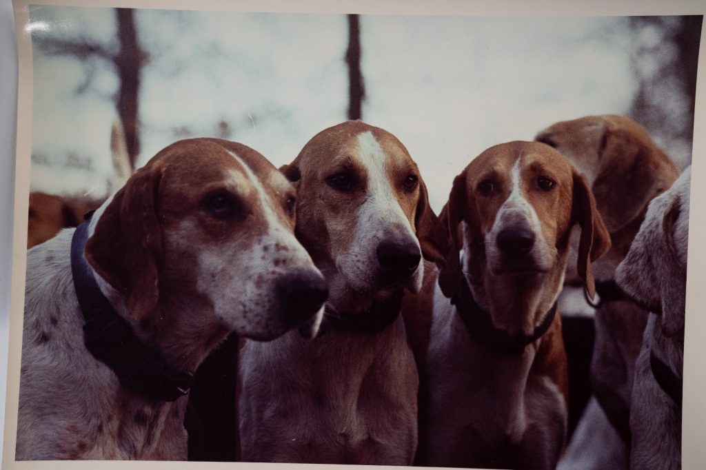 PHOTO Argentique France chasse à courre vénerie cheval chien 24x30cm 1970