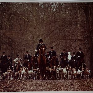 PHOTO Argentique	France	chasse à courre vénerie cheval chien  24x30cm	1970