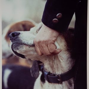 PHOTO Argentique	France	chasse à courre vénerie cheval chien	24x30cm	1970