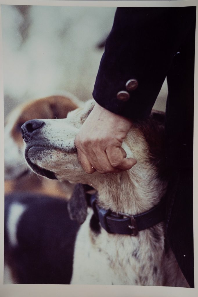 PHOTO Argentique France chasse à courre vénerie cheval chien 24x30cm 1970