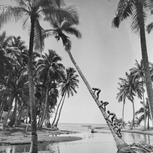 Tirage photo argentique Enfant Tahiti 20X30cm