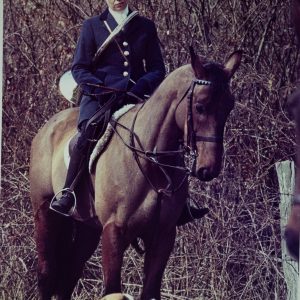 PHOTO Argentique	France	chasse à courre vénerie cheval	24x30cm	1970