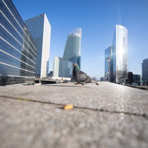 Tirage photo argentique la Défense Paris  20X30cm