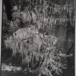 TIRAGE photoArgentique France photo d'artiste amateur 34X40cm 1970