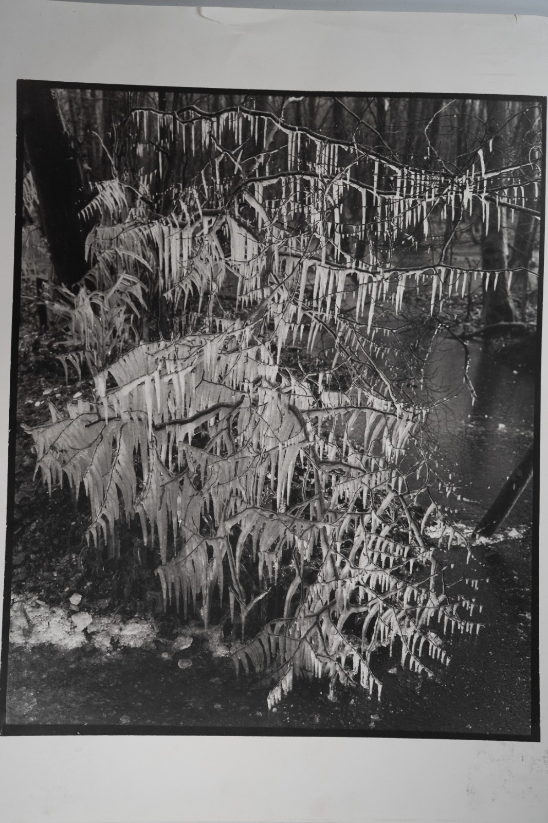 TIRAGE photoArgentique France photo d'artiste amateur 34X40cm 1970