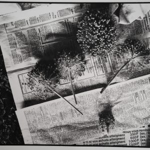 TIRAGE photoArgentique France photo d'artiste amateur 34X40cm 1970