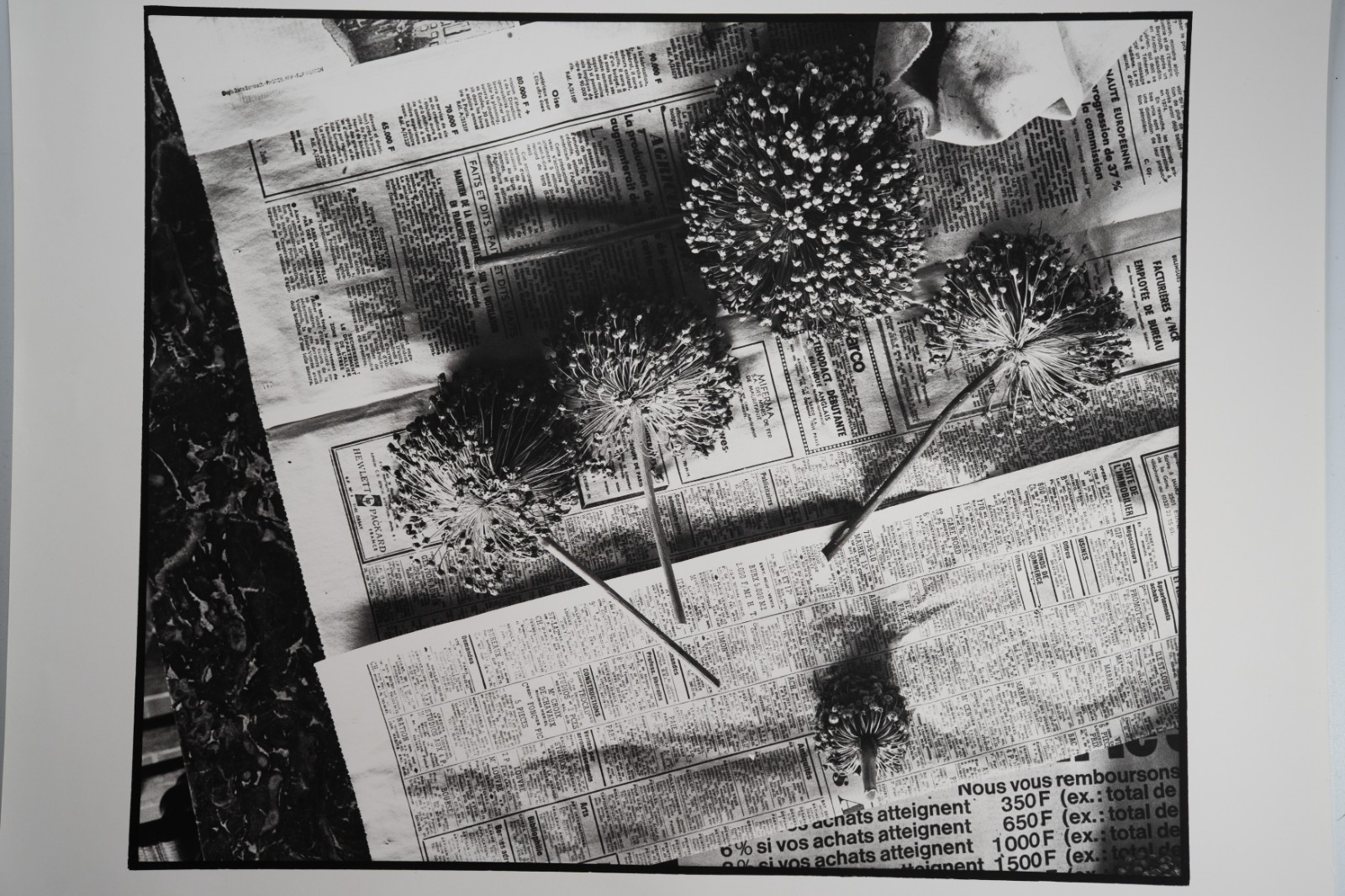 TIRAGE photoArgentique France photo d'artiste amateur 34X40cm 1970