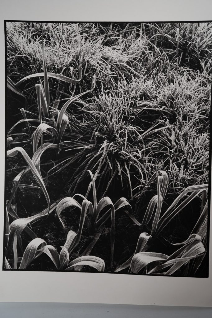 TIRAGE photoArgentique France photo d'artiste amateur 34X40cm 1970