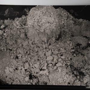 TIRAGE photo Argentique France Détail de nature 40X50cm 1970